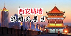琪琪大奶子操逼中国陕西-西安城墙旅游风景区
