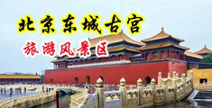 荡妇12P中国北京-东城古宫旅游风景区